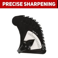 BUCKTOOL 250mm Wet Bench Grinder & Sharpening System